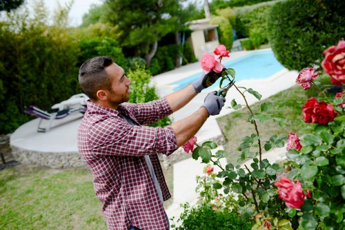 Professionals performing garden clearance in Lewisham