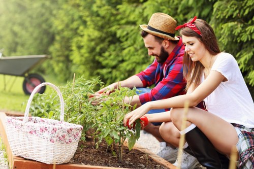 Professional lawn mowing service in Lewisham