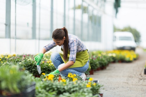 Choosing the right lawn mower in Lewisham