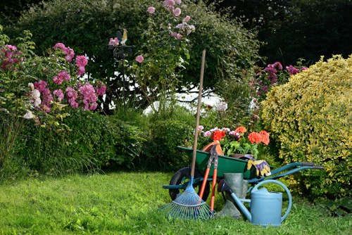 Before and after garden clearance in a Lewisham home