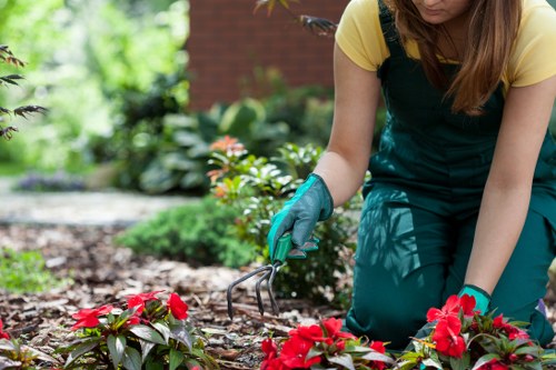 Popular landscaping trends in Lewisham