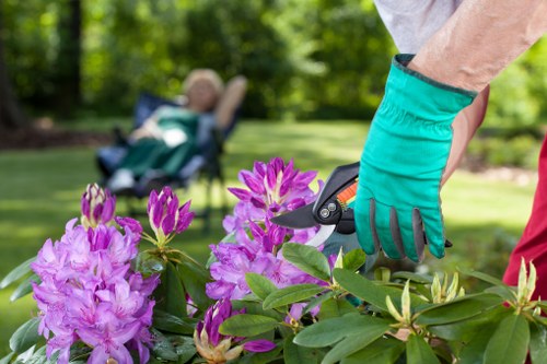 Gardening tools and green waste ready for removal