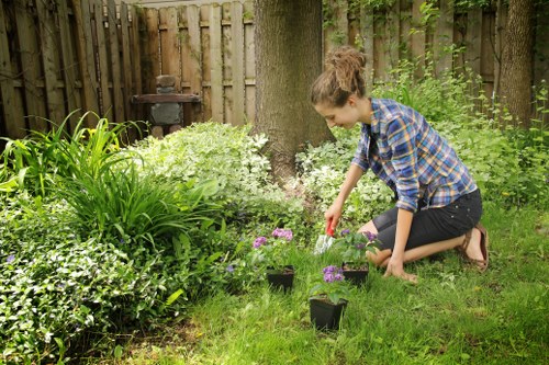 Professional Lewisham gardening team at work