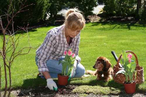 Investigator reviewing garden work with photographed evidence