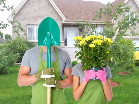 Eco-friendly hedge trimming practices