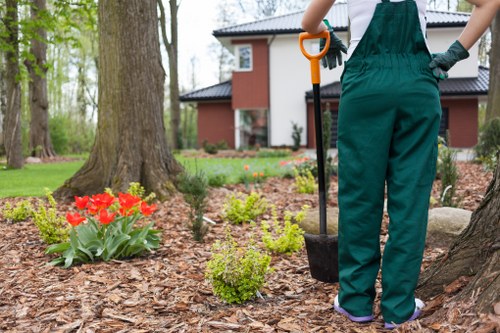 Eco-friendly lawn mowing equipment
