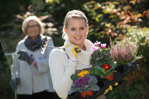 Lewisham gardener designing an outdoor space