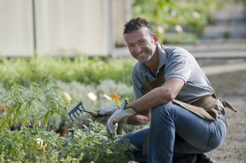 Eco-friendly garden clearance practices in Lewisham