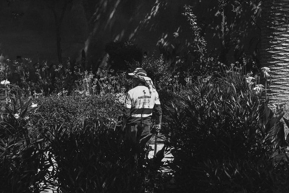 A middle-aged man with short, grey hair and a beard is operating a lawn mower in the garden of a residential property in Lewisham. He is wearing a grey puffer jacket, a dark shirt underneath, and brow