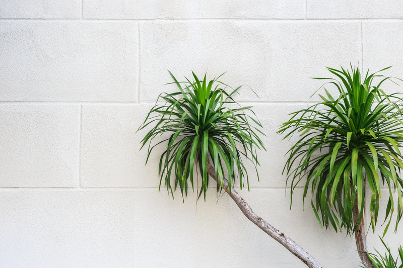 Craft an Intimate Lounge Area with Tall-Potted Plants for Garden Privacy