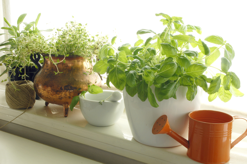 Craft an Intimate Lounge Area with Tall-Potted Plants for Garden Privacy