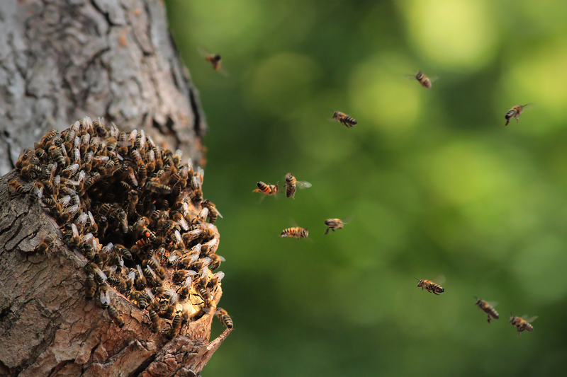 Garden landscaping garden design