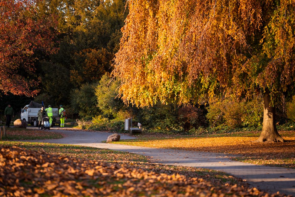 A park scene during autumn featuring a large deciduous tree with vibrant orange and yellow foliage, its thick branches and leafy canopy casting shadows on the ground. Beneath the tree, a paved pathway